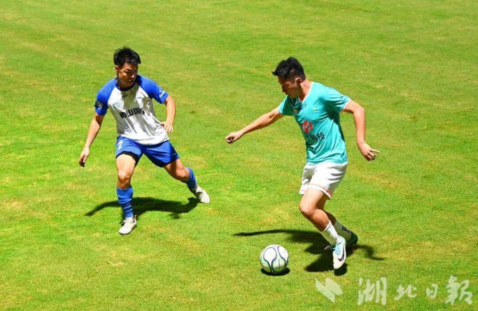 表示, 我们进行了