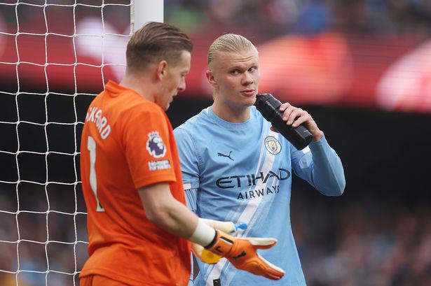 看到哈兰德 看到哈兰德